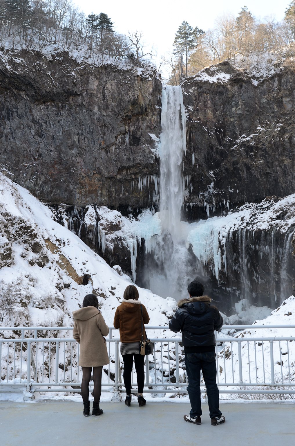 🏞️ 안개 내리는 폭포(키리후리노타키) 이미지 5